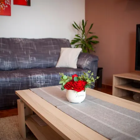 & Anita Apartment