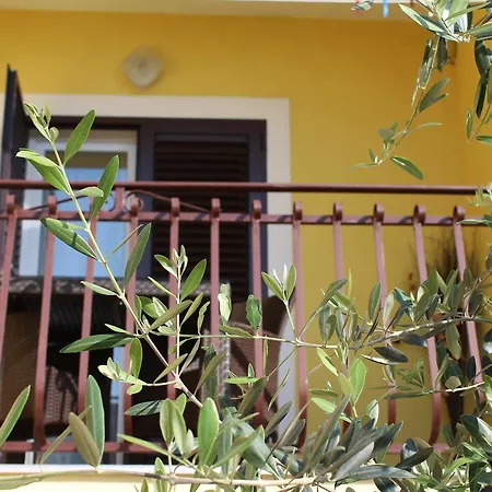 Apartment & Anita *